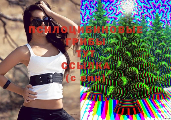 соль курить ск Михайлов