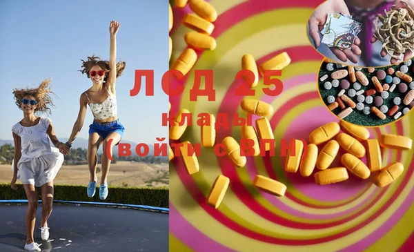 гашик Наволоки